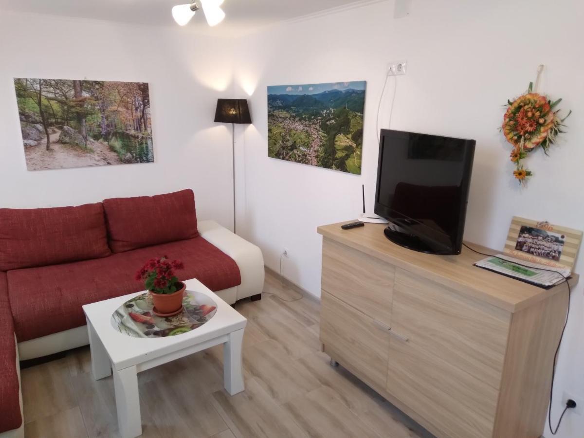 Raza Soarelui Apartament De Lux Sovata Εξωτερικό φωτογραφία
